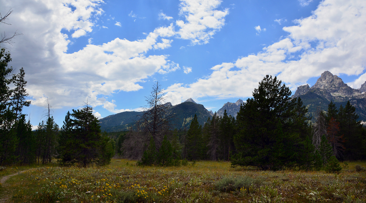 2015-07-24, 101, Grand Teton NP, WY
