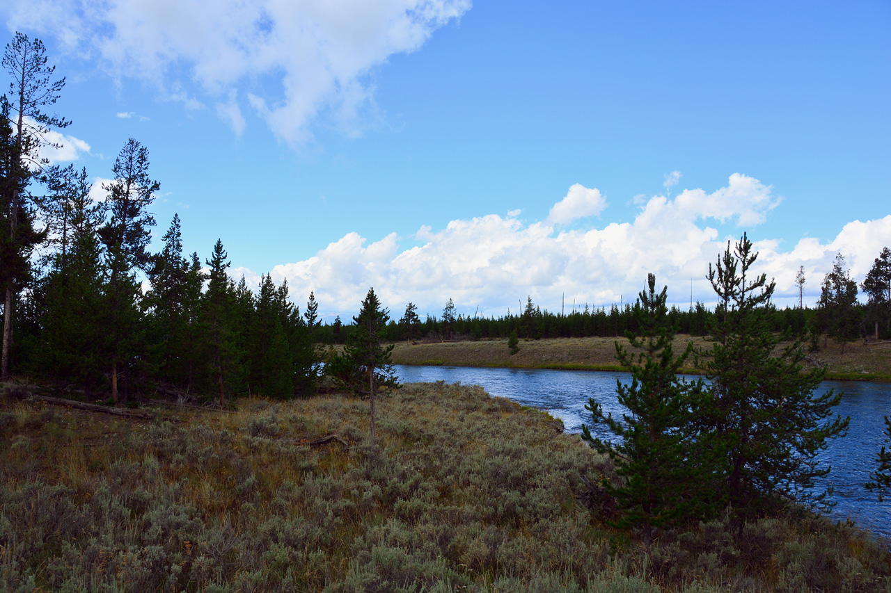 2015-07-23, 002, Yellowstone NP, WY, Madison River