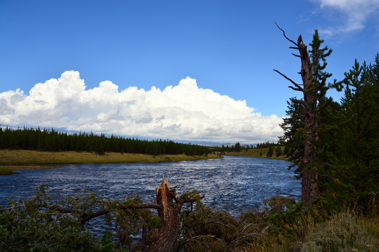 2015-07-23, 004, Yellowstone NP, WY, Madison River