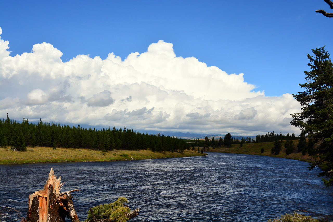 2015-07-23, 005, Yellowstone NP, WY, Madison River