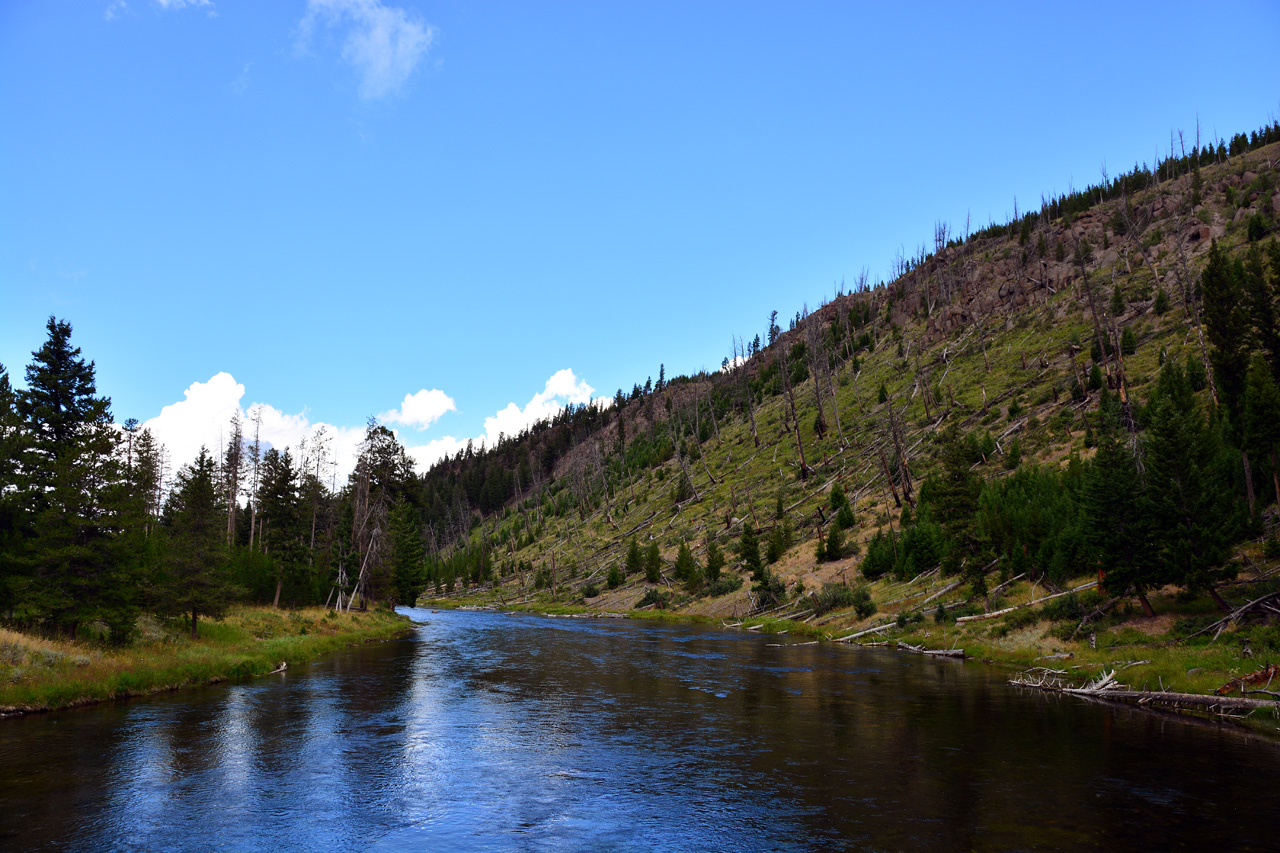 2015-07-23, 007, Yellowstone NP, WY, Madison River