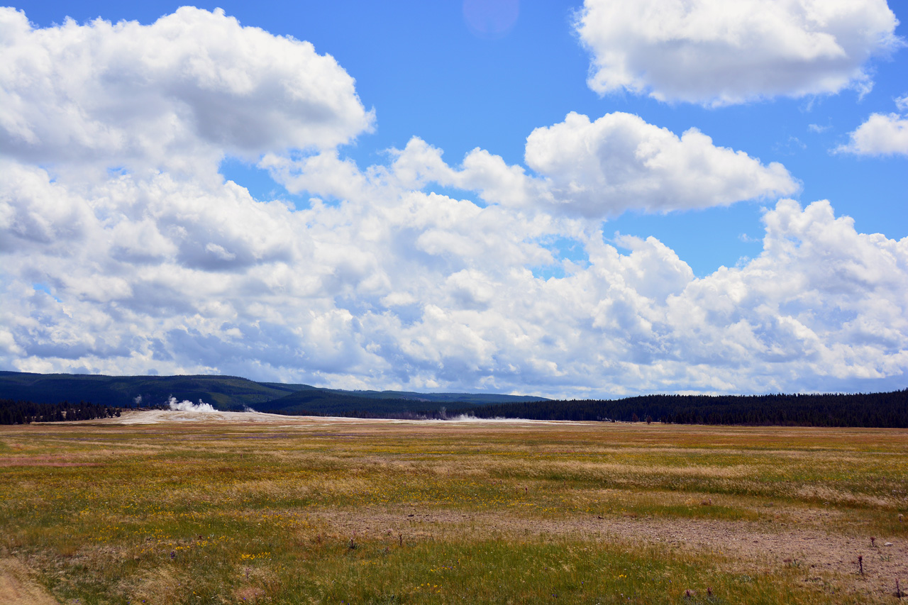 2015-07-23, 013, Yellowstone NP, WY, Lower Geyser Basin