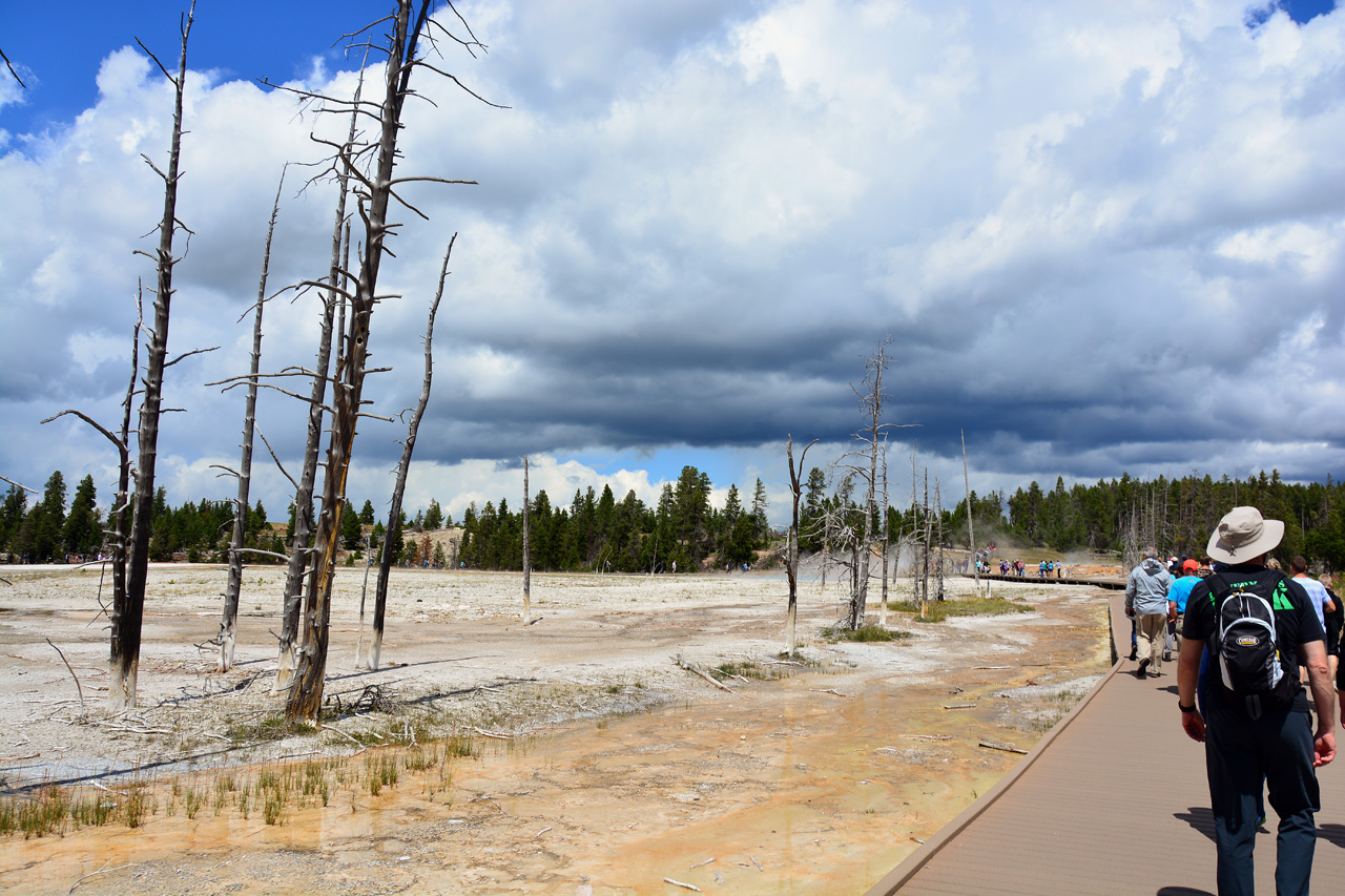 2015-07-23, 015, Yellowstone NP, WY