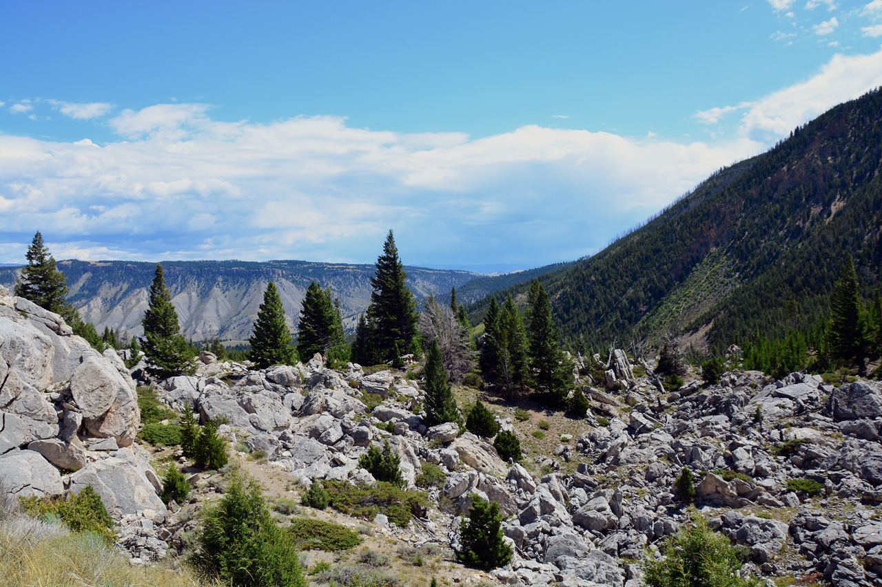 2015-07-26, 039, Yellowstone NP, WY
