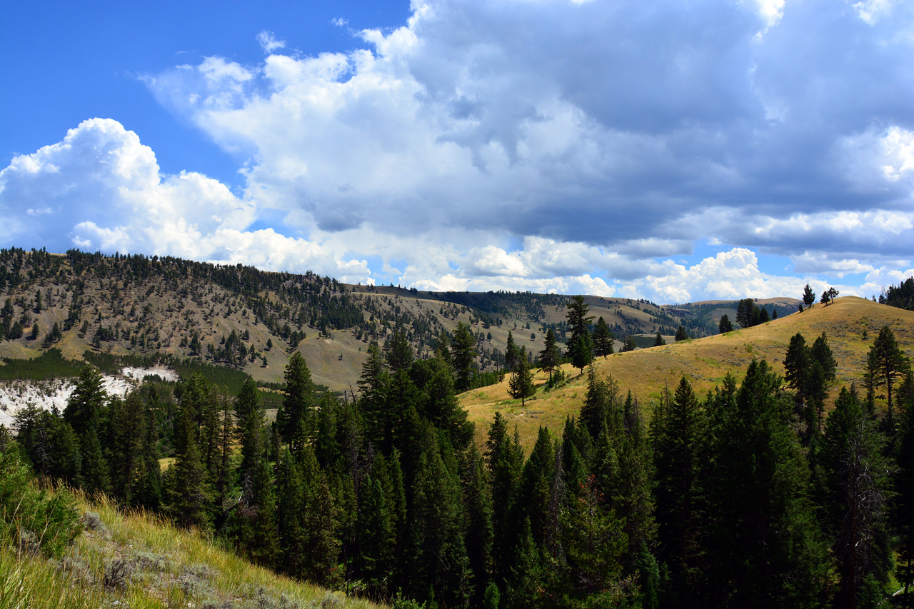 2015-07-26, 074, Yellowstone NP, WY, Tower Falls Area