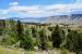 2015-07-26, 040, Yellowstone NP, WY