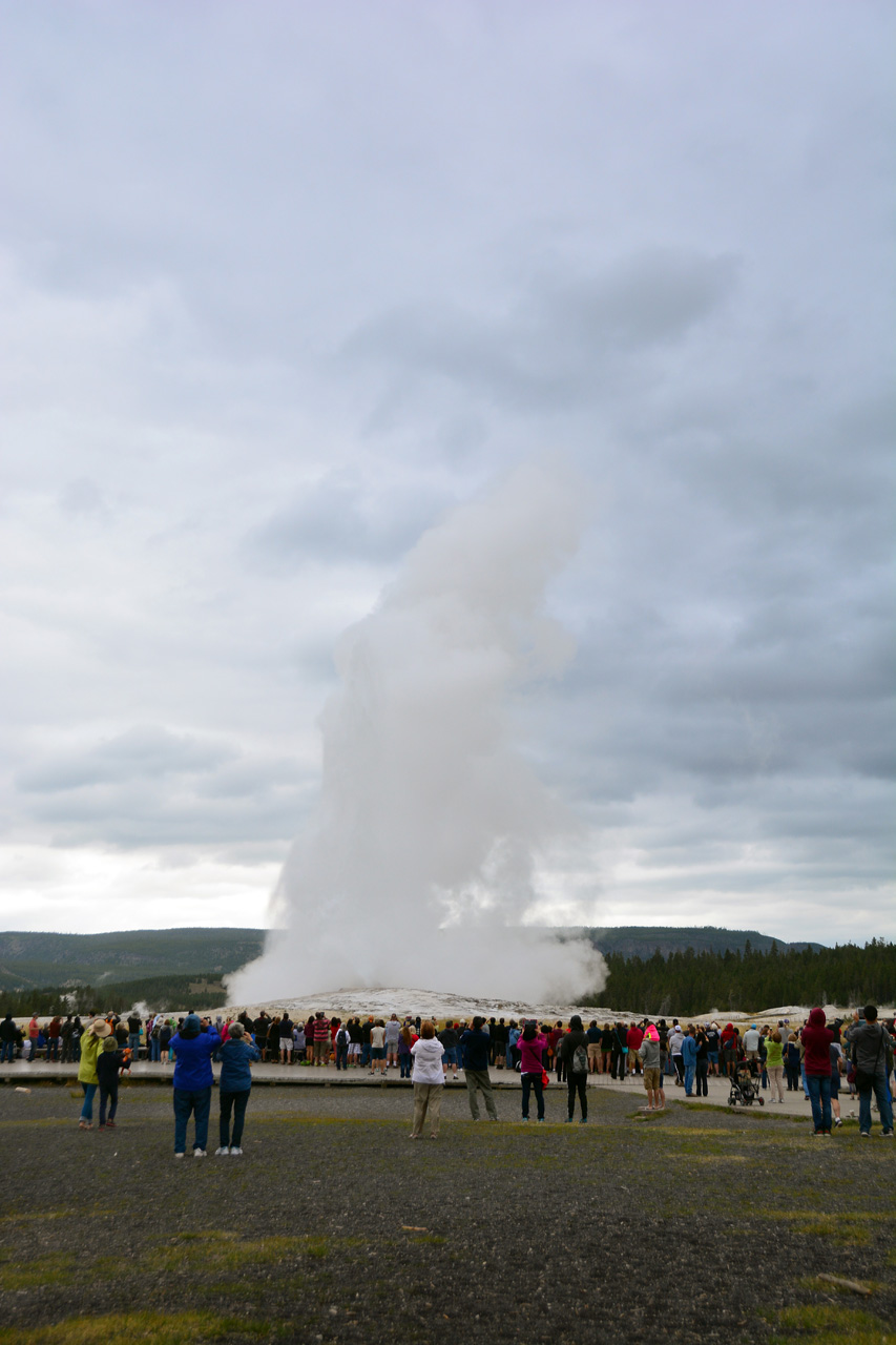 2015-07-27, 049, Yellowstone NP, WY, Old Faithful. Geyser