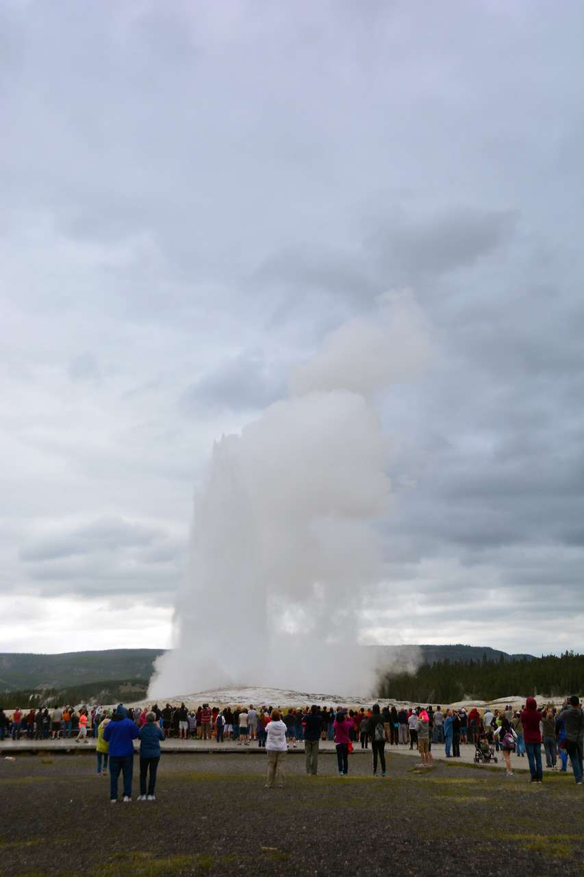 2015-07-27, 050, Yellowstone NP, WY, Old Faithful. Geyser