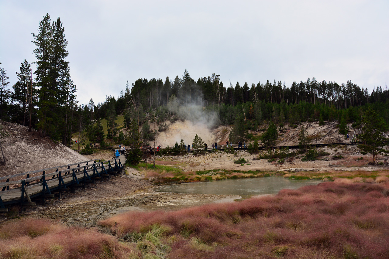 2015-07-27, 070, Yellowstone NP, WY, Mud Volcano Area