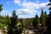 2015-07-27, 003, Yellowstone NP, WY, Firehole Lake Drive