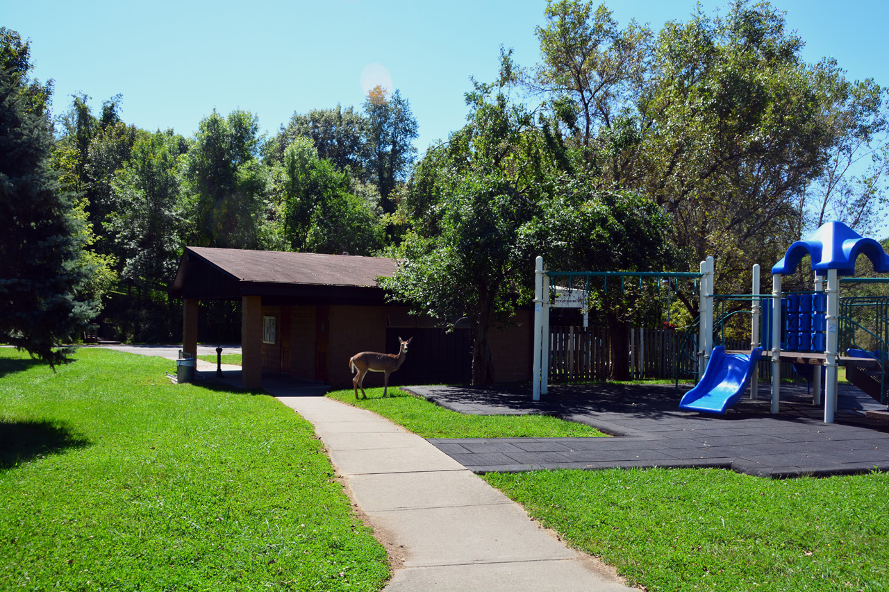 2015-09-09, 008, Deer at the Vistor Center, IA