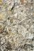2015-09-09, 007, Devonian Fossil Gorge, Coralville, IA