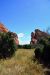 2015-09-23, 051, Garden of the Gods, Centeral Area Trail