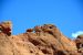 2015-09-23, 054, Garden of the Gods, Centeral Area Trail