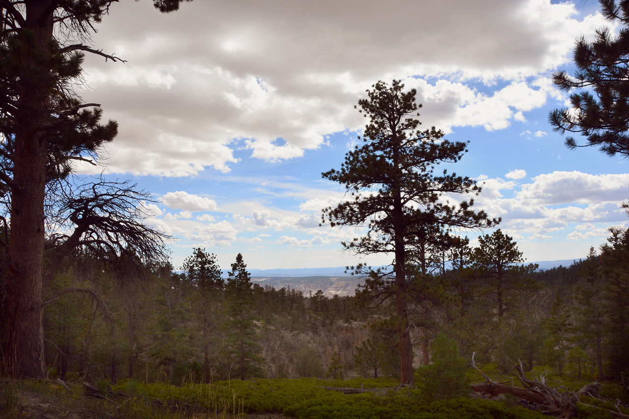 2015-09-27, 002, Hell's Backbone Road, UT