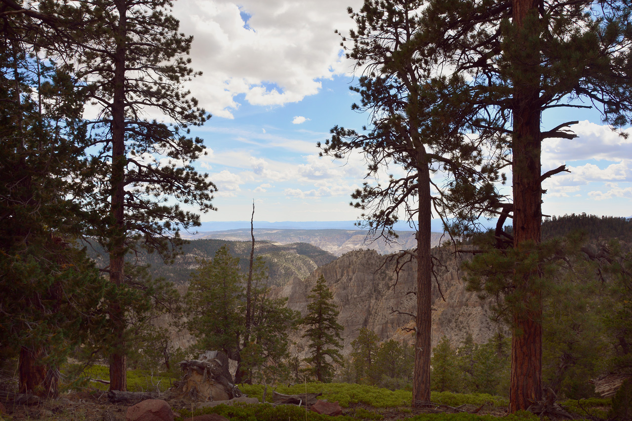 2015-09-27, 005, Hell's Backbone Road, UT