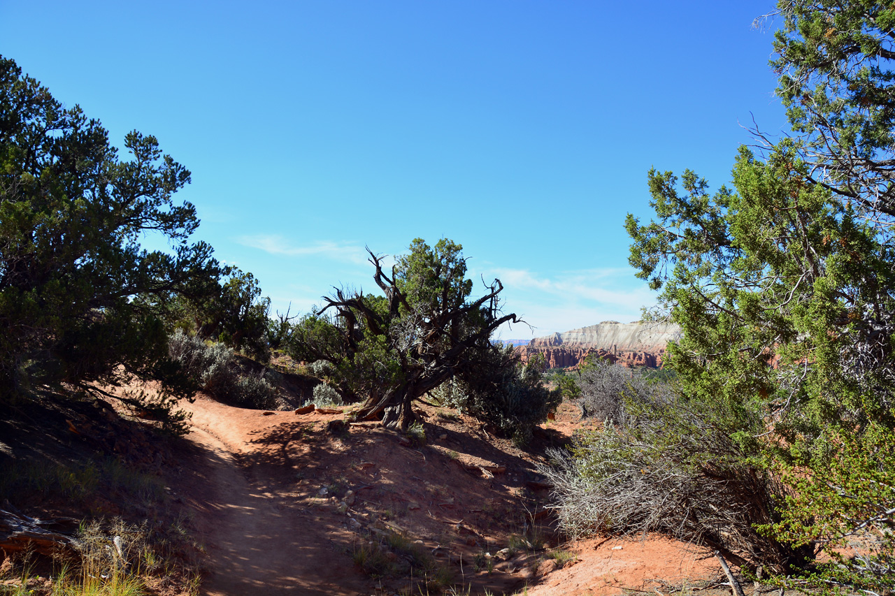 2015-09-27, 019, Kodachrome Basin SP, Shakespare Arch Trail, UT