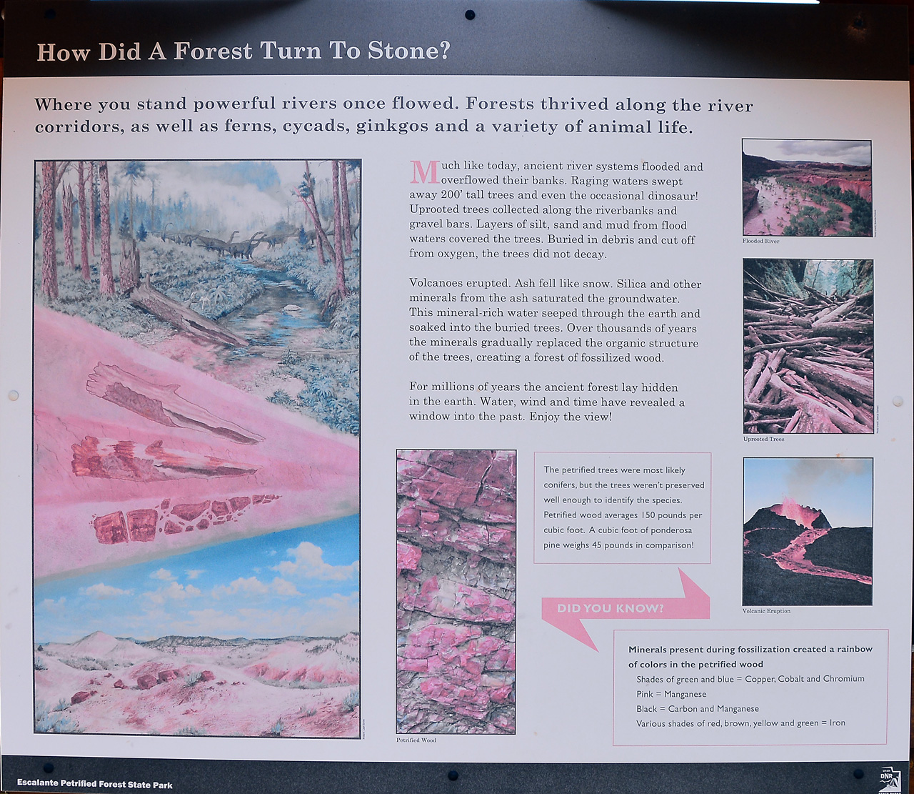 2015-09-30, 002, Escalante SP, UT, Petrified Forest Trail