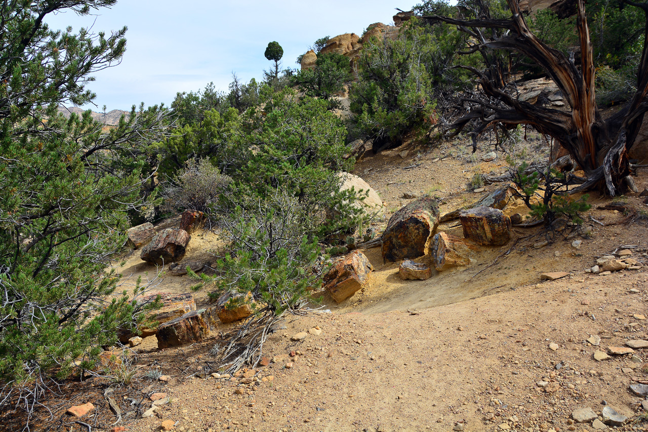 2015-09-30, 0029 Indexed, Escalante SP, UT, Trail of Sleeping Rainbows