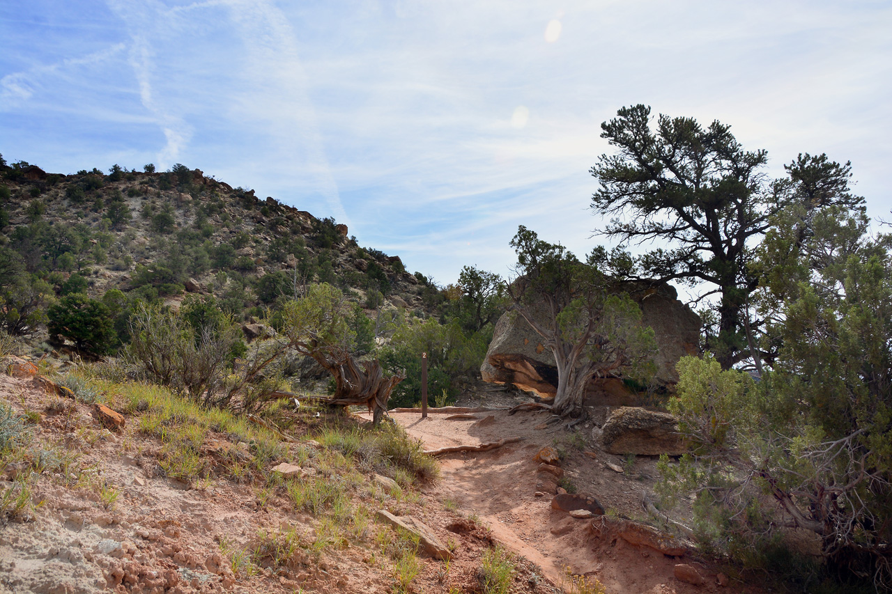 2015-09-30, 003, Escalante SP, UT, Petrified Forest Trail
