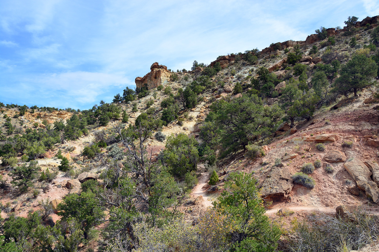2015-09-30, 004, Escalante SP, UT, Petrified Forest Trail