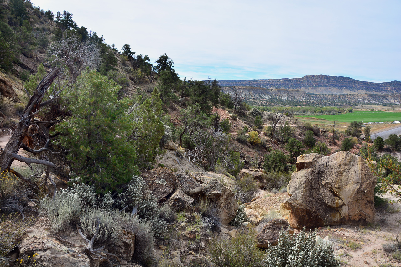 2015-09-30, 005, Escalante SP, UT, Petrified Forest Trail
