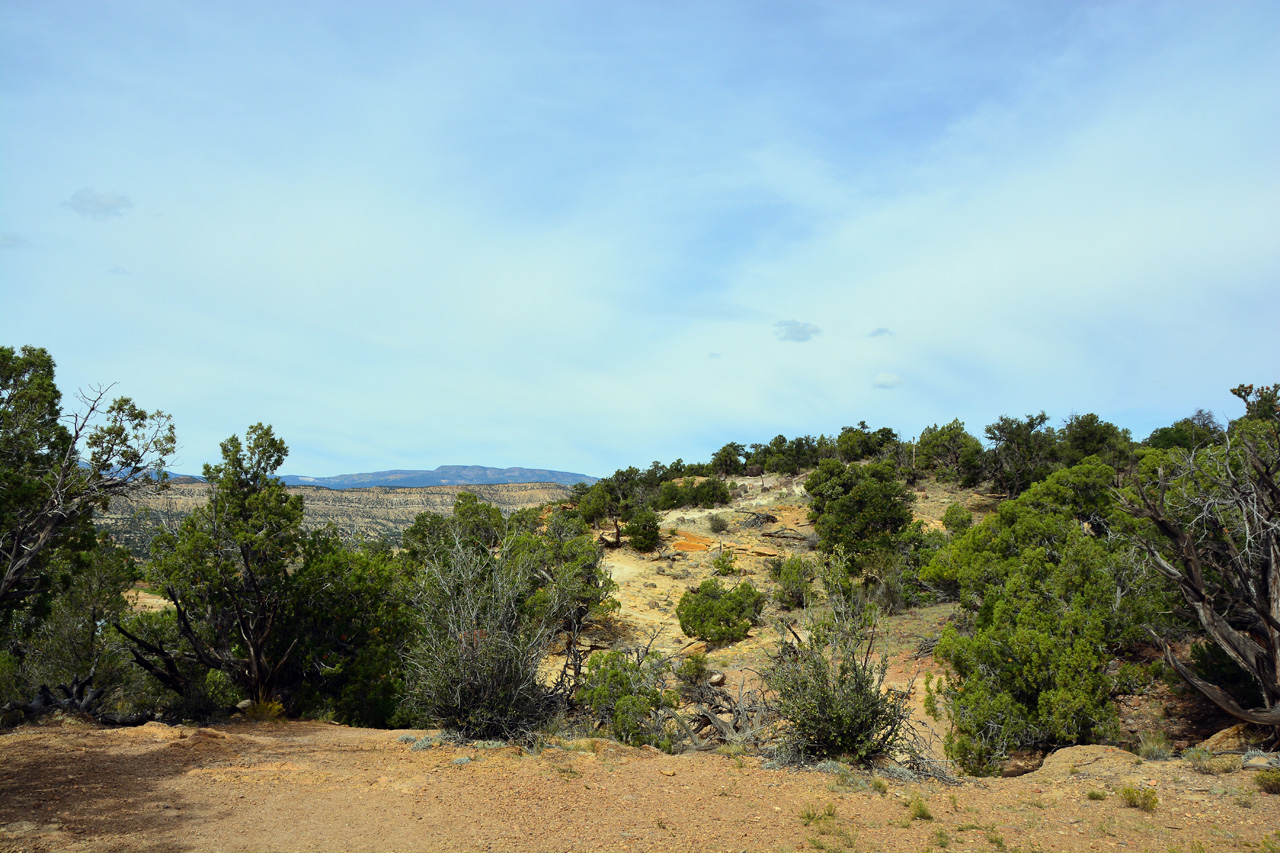 2015-09-30, 010, Escalante SP, UT, Petrified Forest Trail