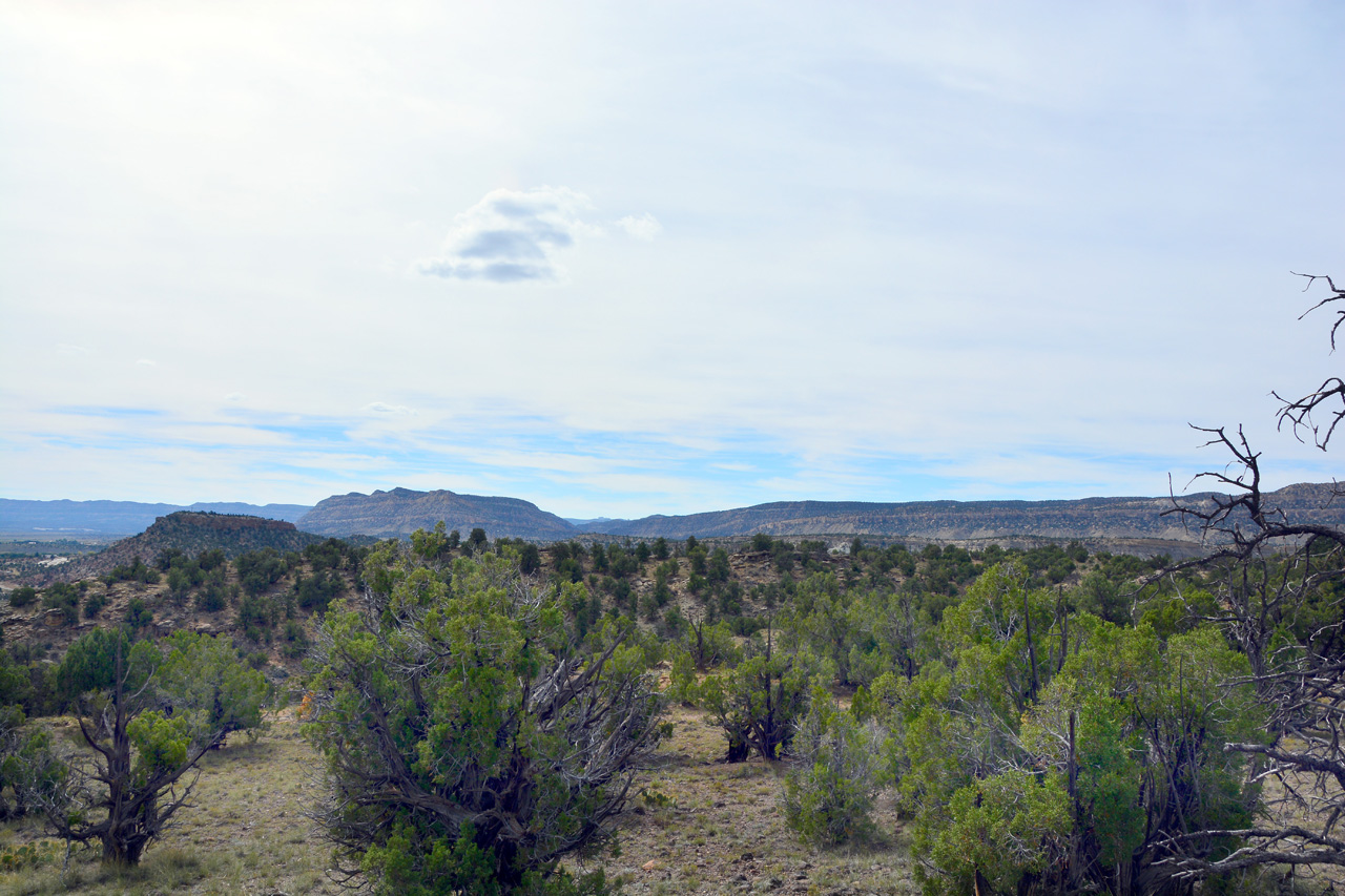 2015-09-30, 011, Escalante SP, UT, Petrified Forest Trail