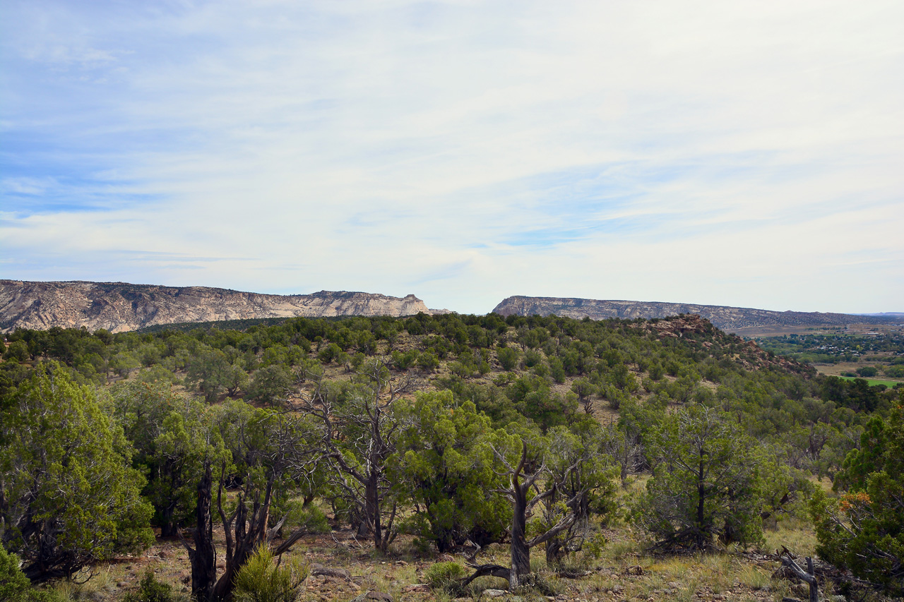 2015-09-30, 012, Escalante SP, UT, Petrified Forest Trail