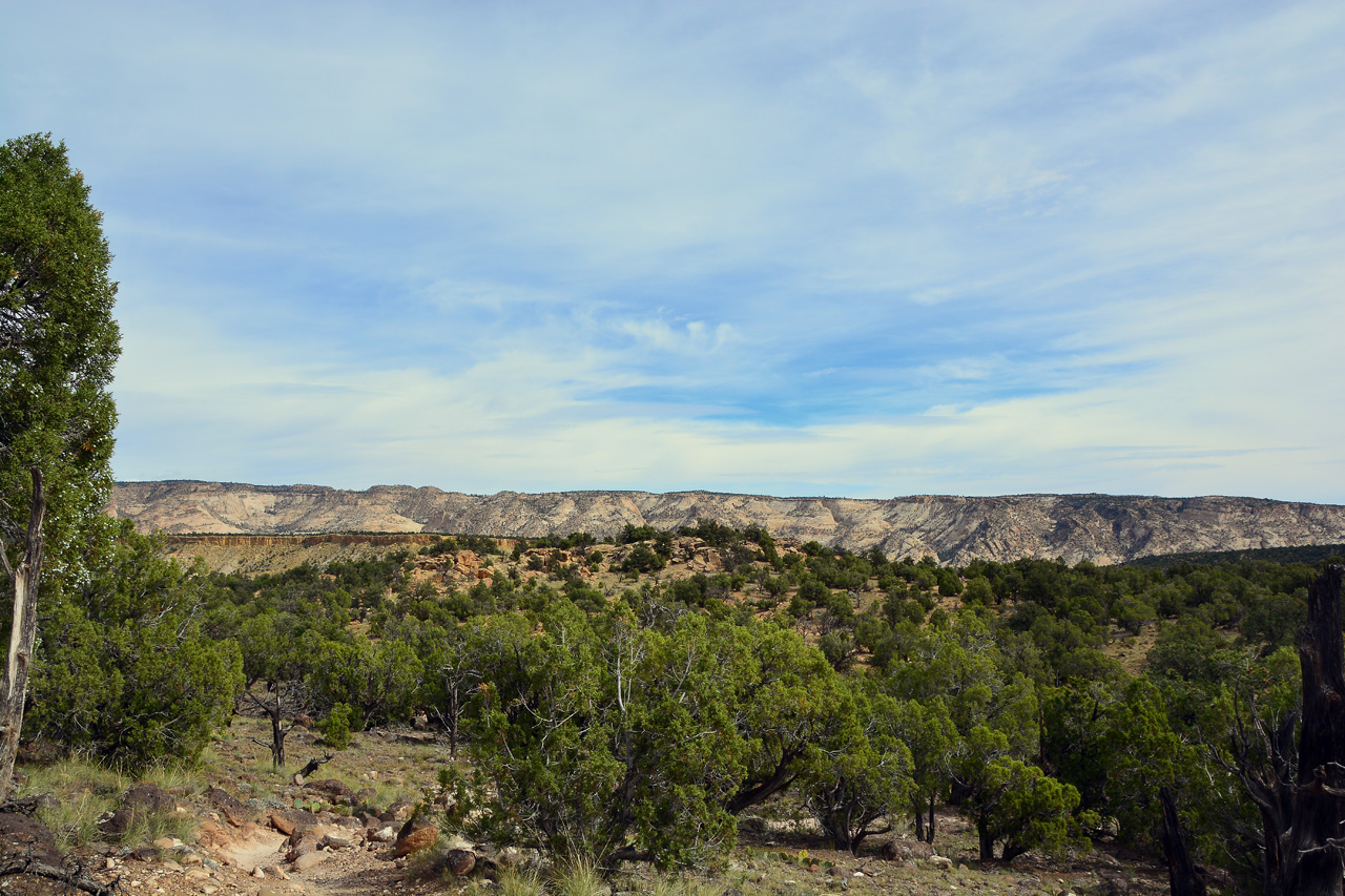 2015-09-30, 013, Escalante SP, UT, Petrified Forest Trail