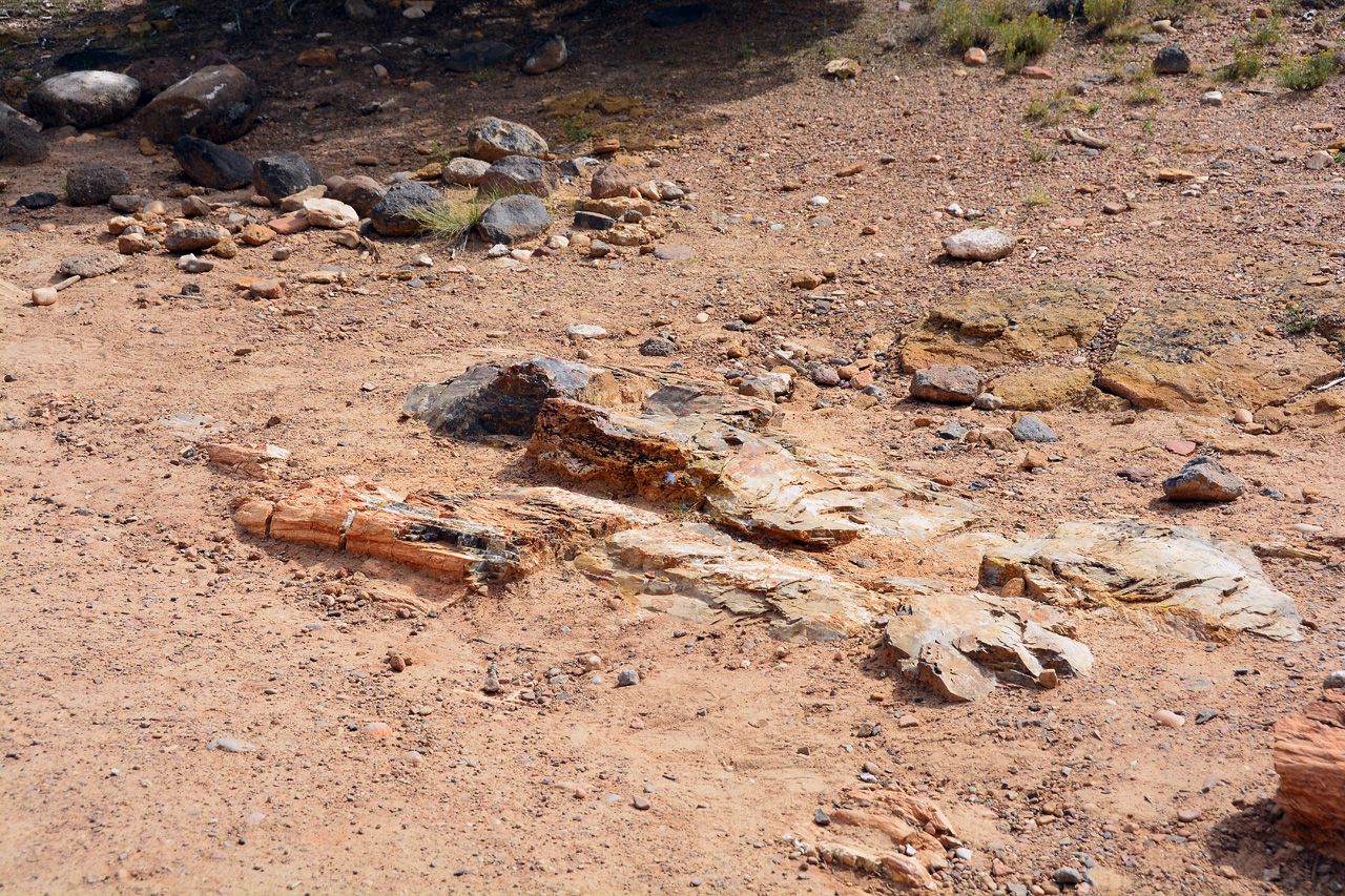 2015-09-30, 015, Escalante SP, UT, Petrified Forest Trail