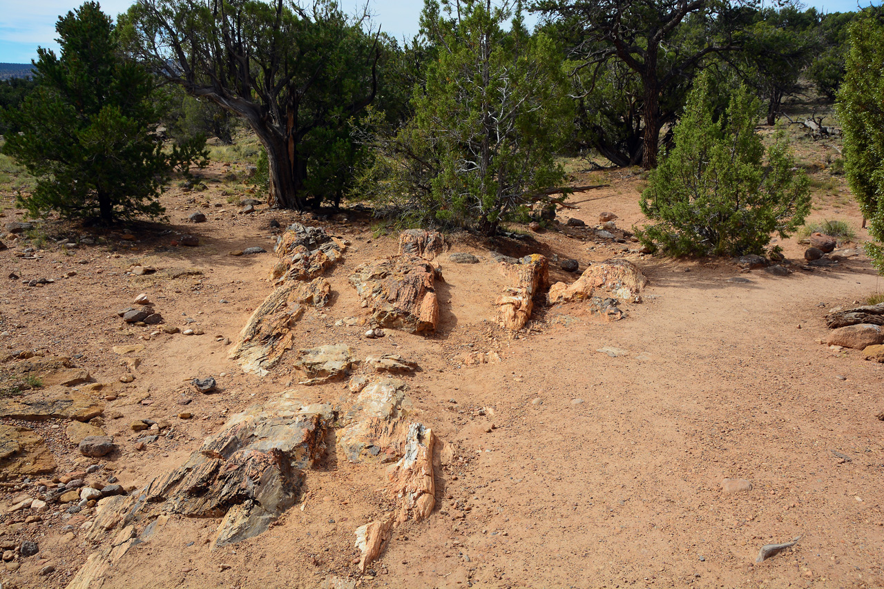 2015-09-30, 016, Escalante SP, UT, Petrified Forest Trail
