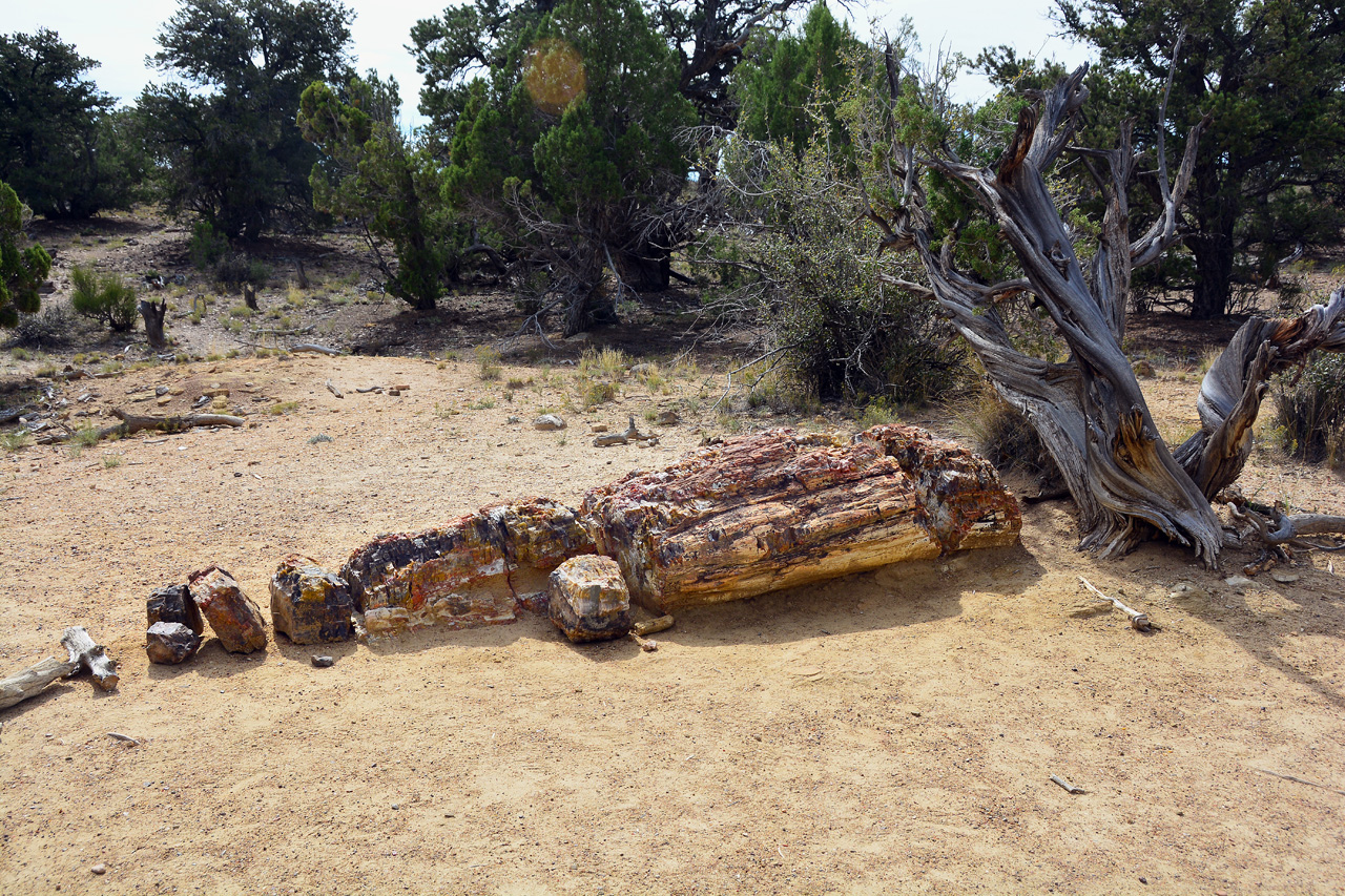 2015-09-30, 018, Escalante SP, UT, Trail of Sleeping Rainbows