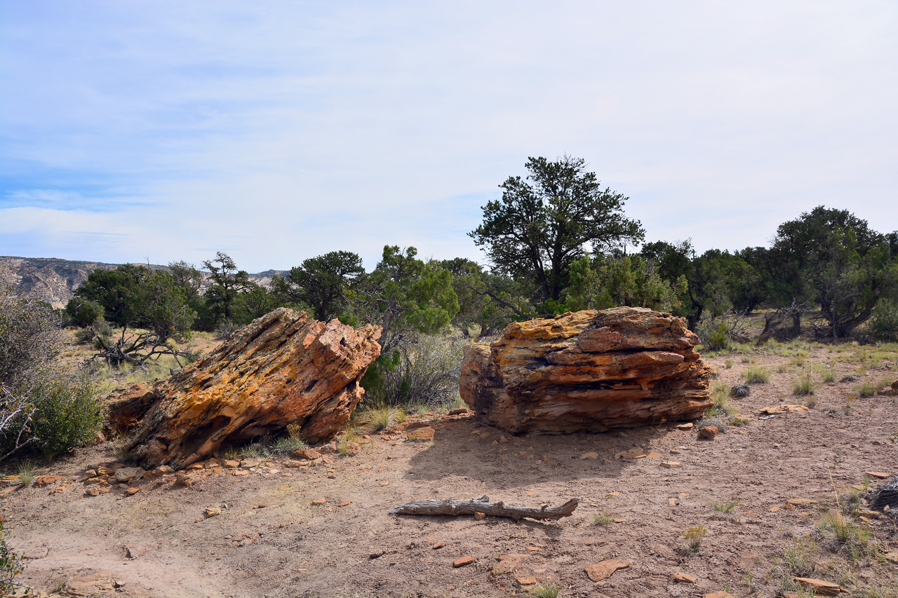 2015-09-30, 020, Escalante SP, UT, Trail of Sleeping Rainbows