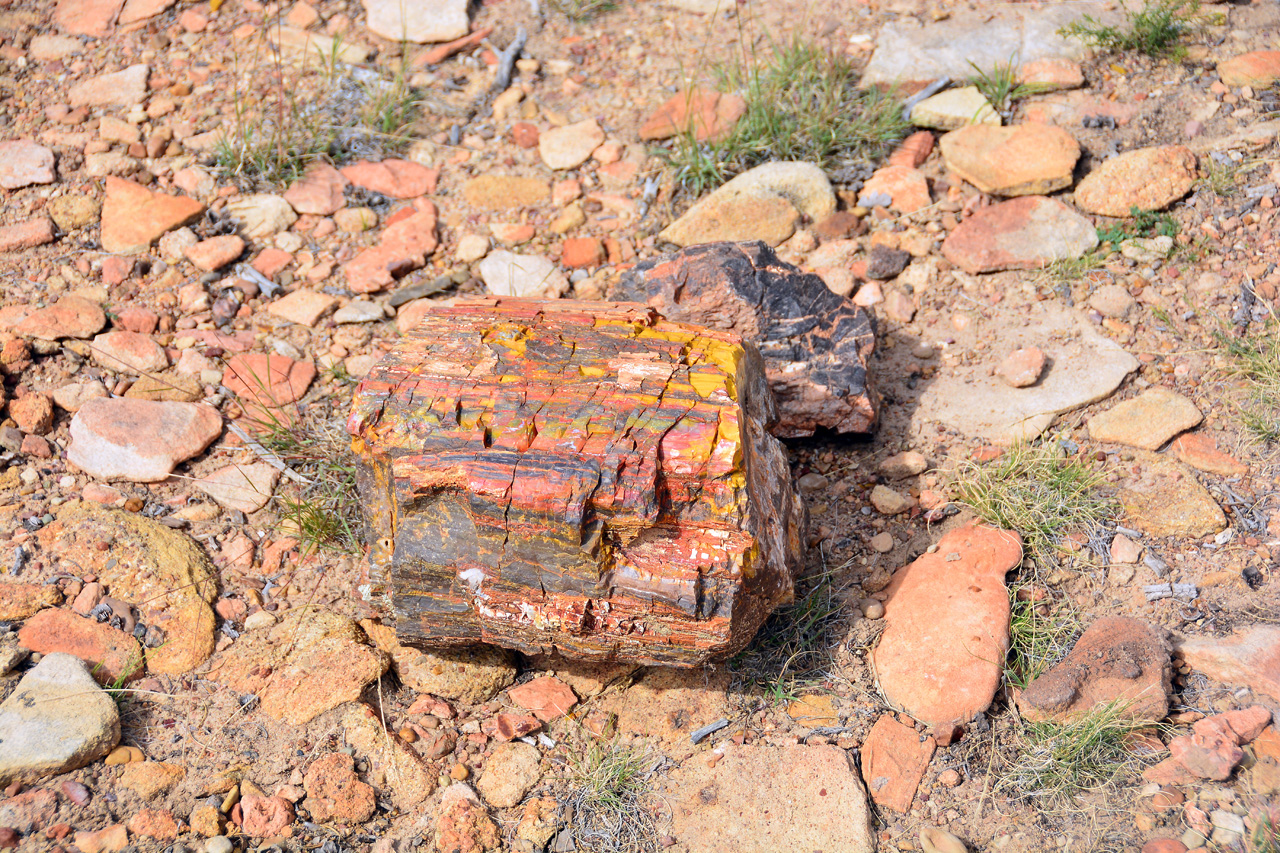 2015-09-30, 022, Escalante SP, UT, Trail of Sleeping Rainbows