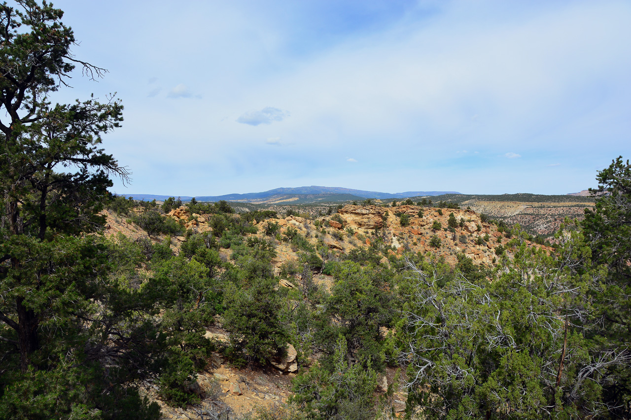 2015-09-30, 024, Escalante SP, UT, Trail of Sleeping Rainbows