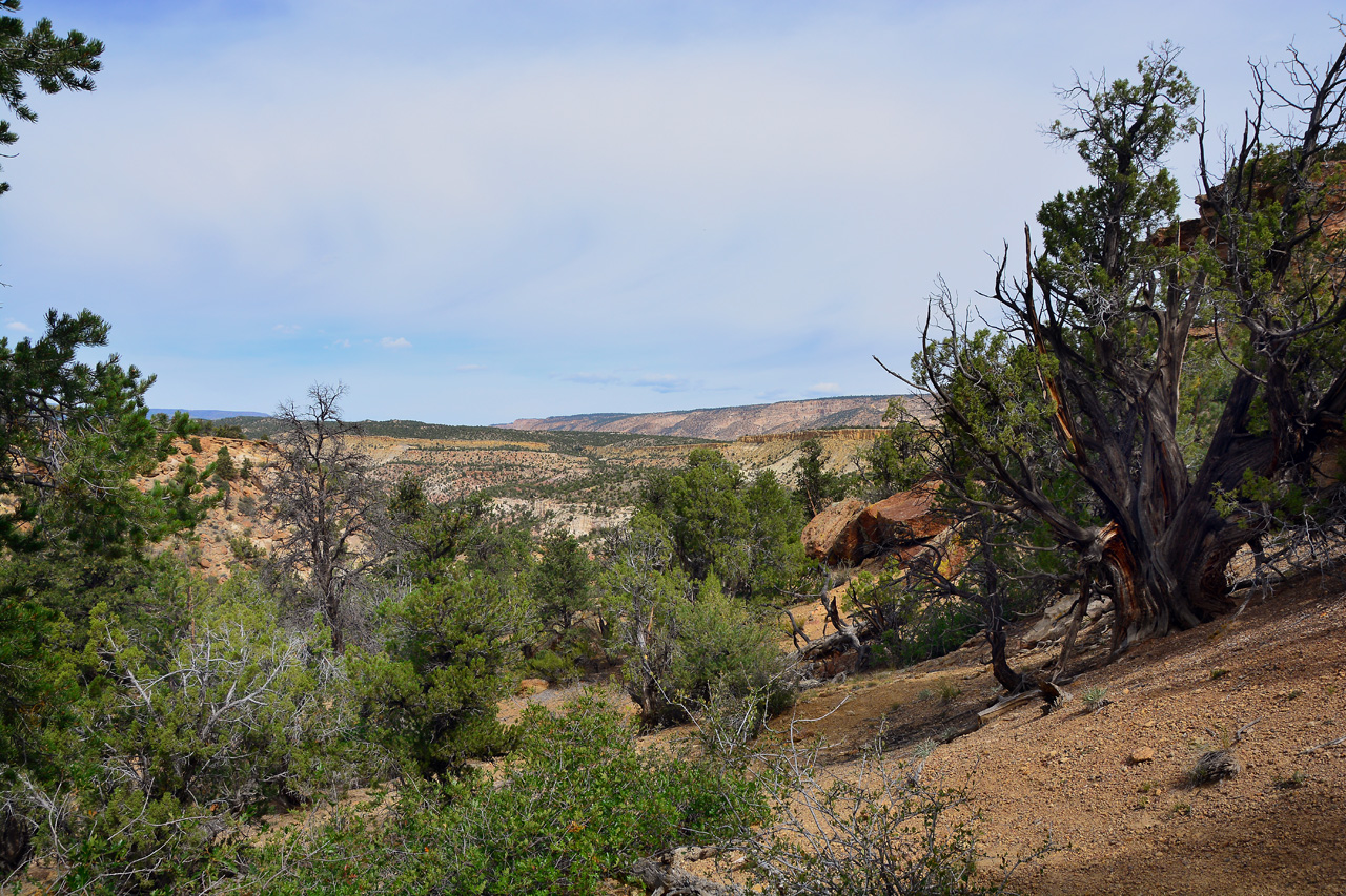 2015-09-30, 025, Escalante SP, UT, Trail of Sleeping Rainbows