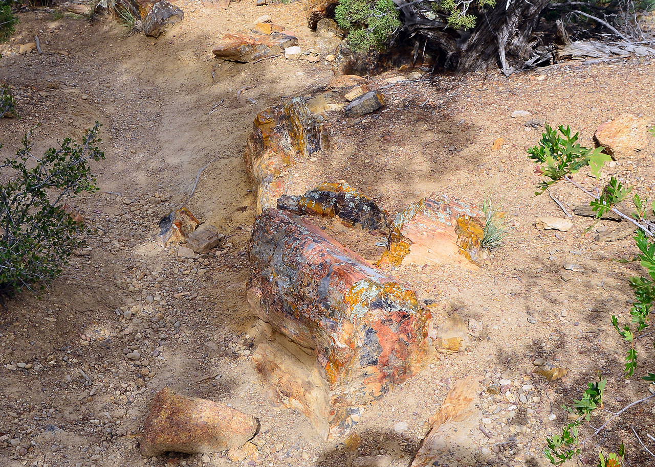 2015-09-30, 026, Escalante SP, UT, Trail of Sleeping Rainbows