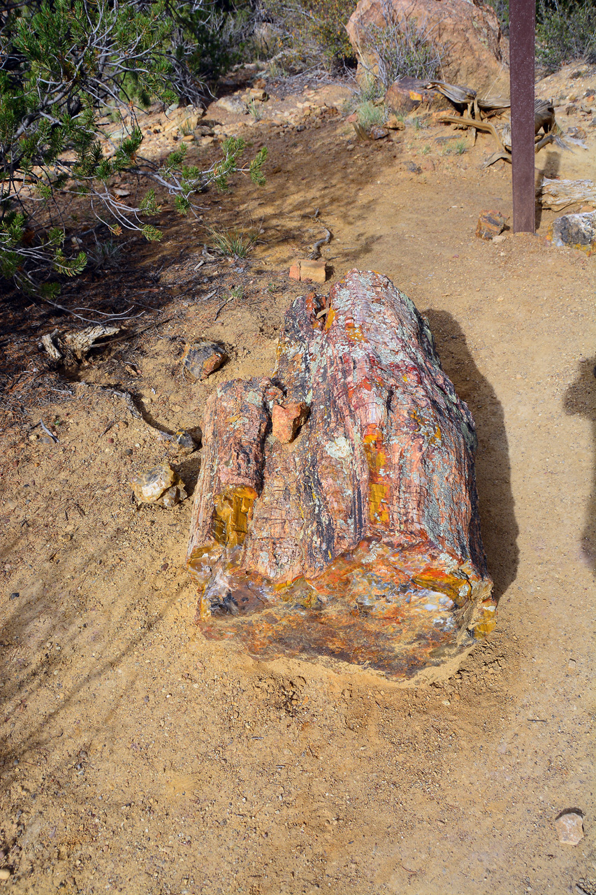 2015-09-30, 030, Escalante SP, UT, Trail of Sleeping Rainbows