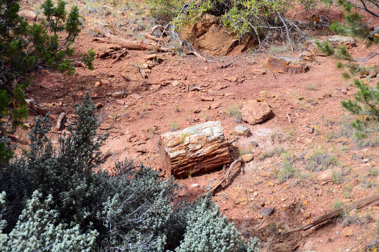 2015-09-30, 037, Escalante SP, UT, Trail of Sleeping Rainbows