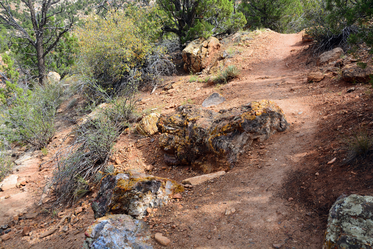 2015-09-30, 038, Escalante SP, UT, Trail of Sleeping Rainbows