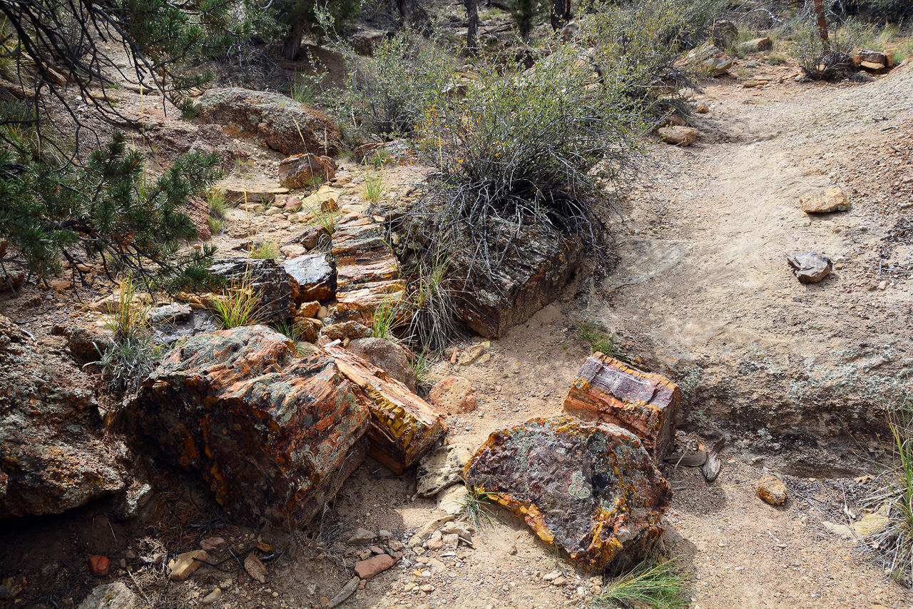 2015-09-30, 048, Escalante SP, UT, Trail of Sleeping Rainbows