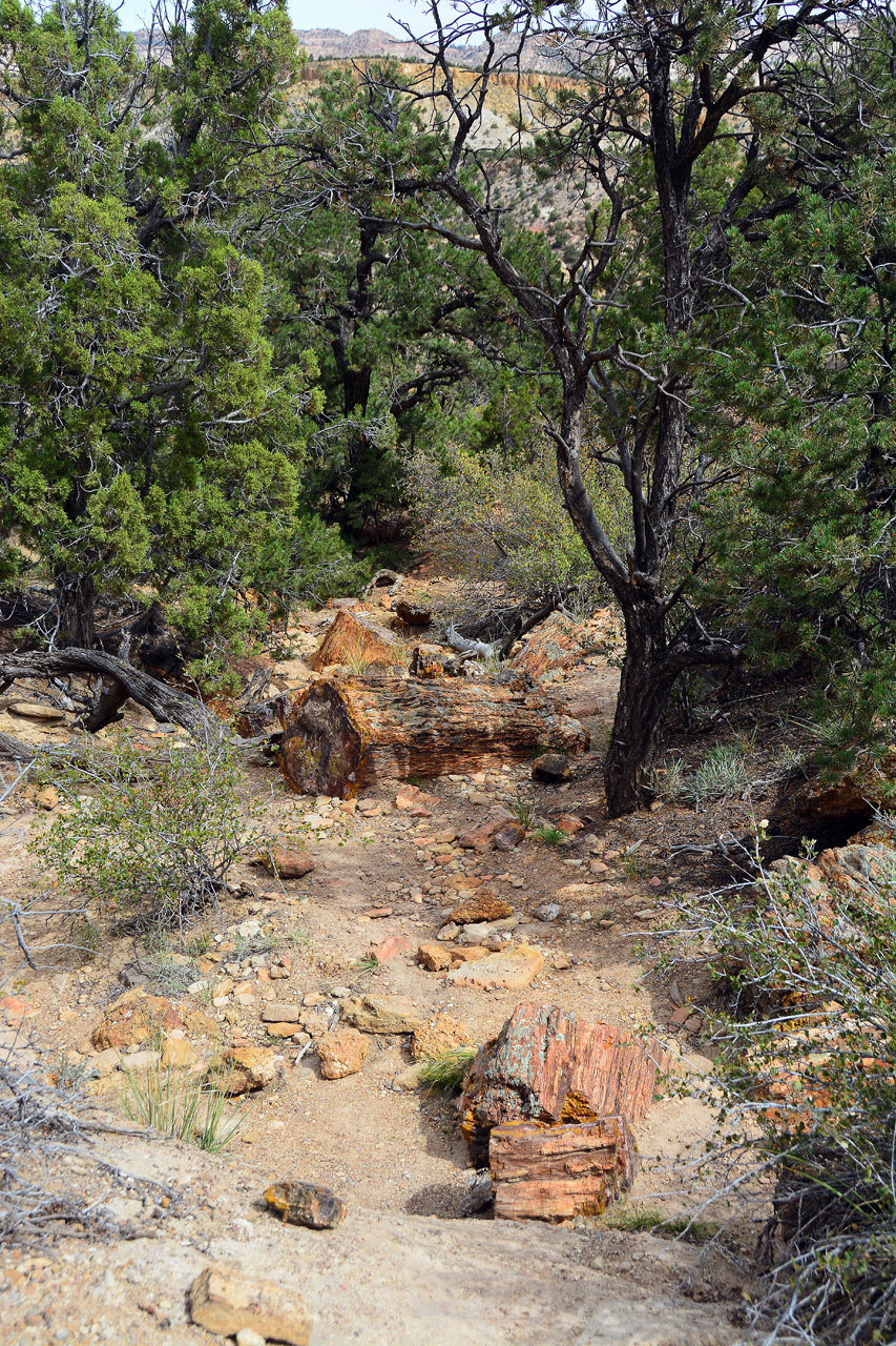 2015-09-30, 049, Escalante SP, UT, Trail of Sleeping Rainbows