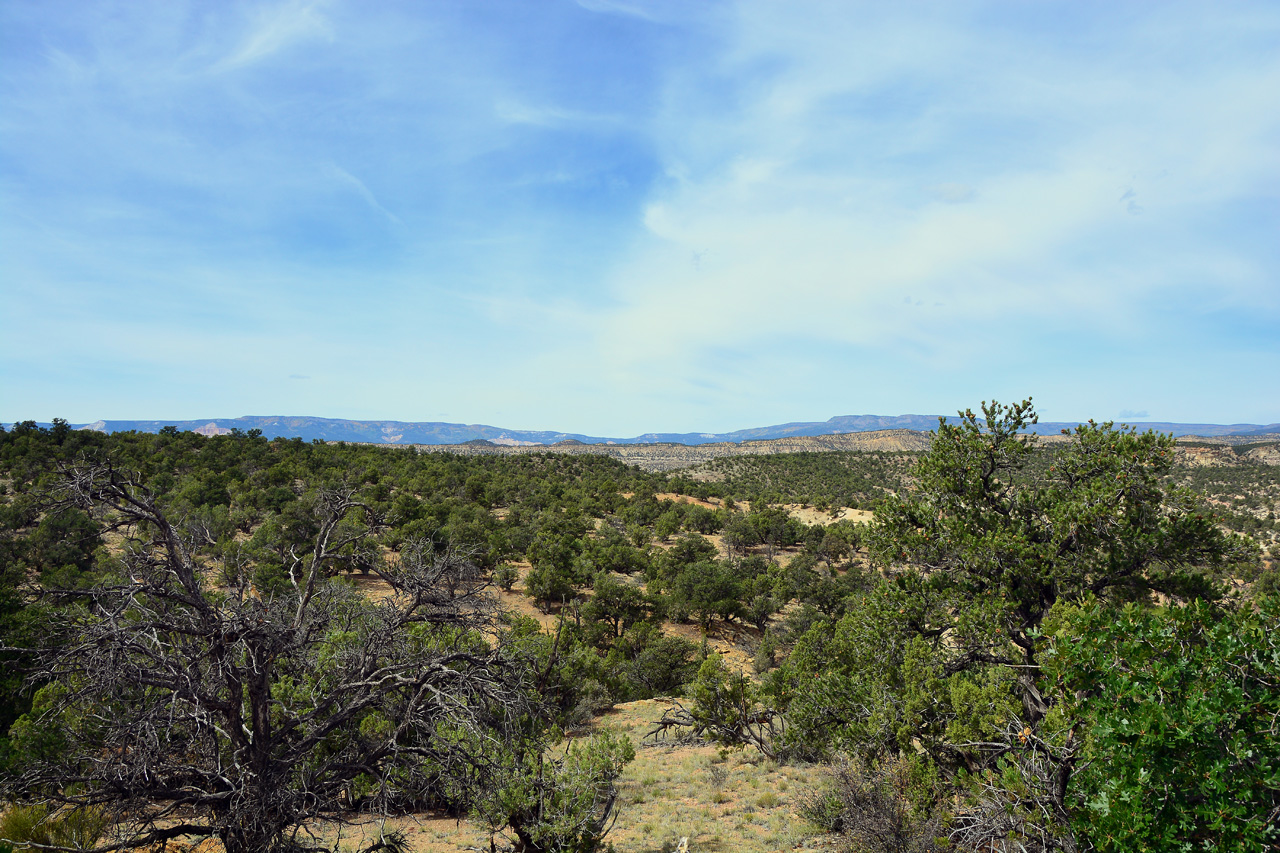 2015-09-30, 052, Escalante SP, UT, Trail of Sleeping Rainbows
