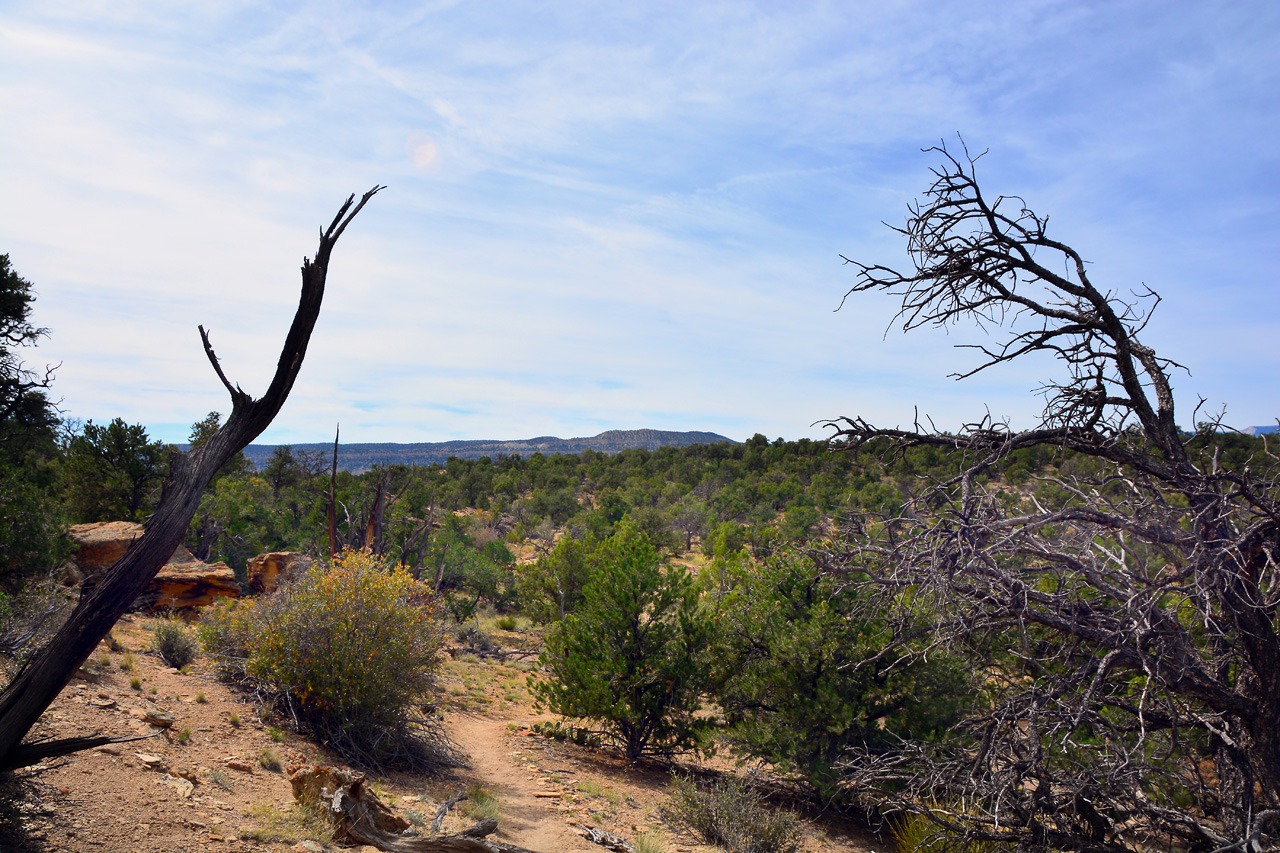 2015-09-30, 053, Escalante SP, UT, Trail of Sleeping Rainbows