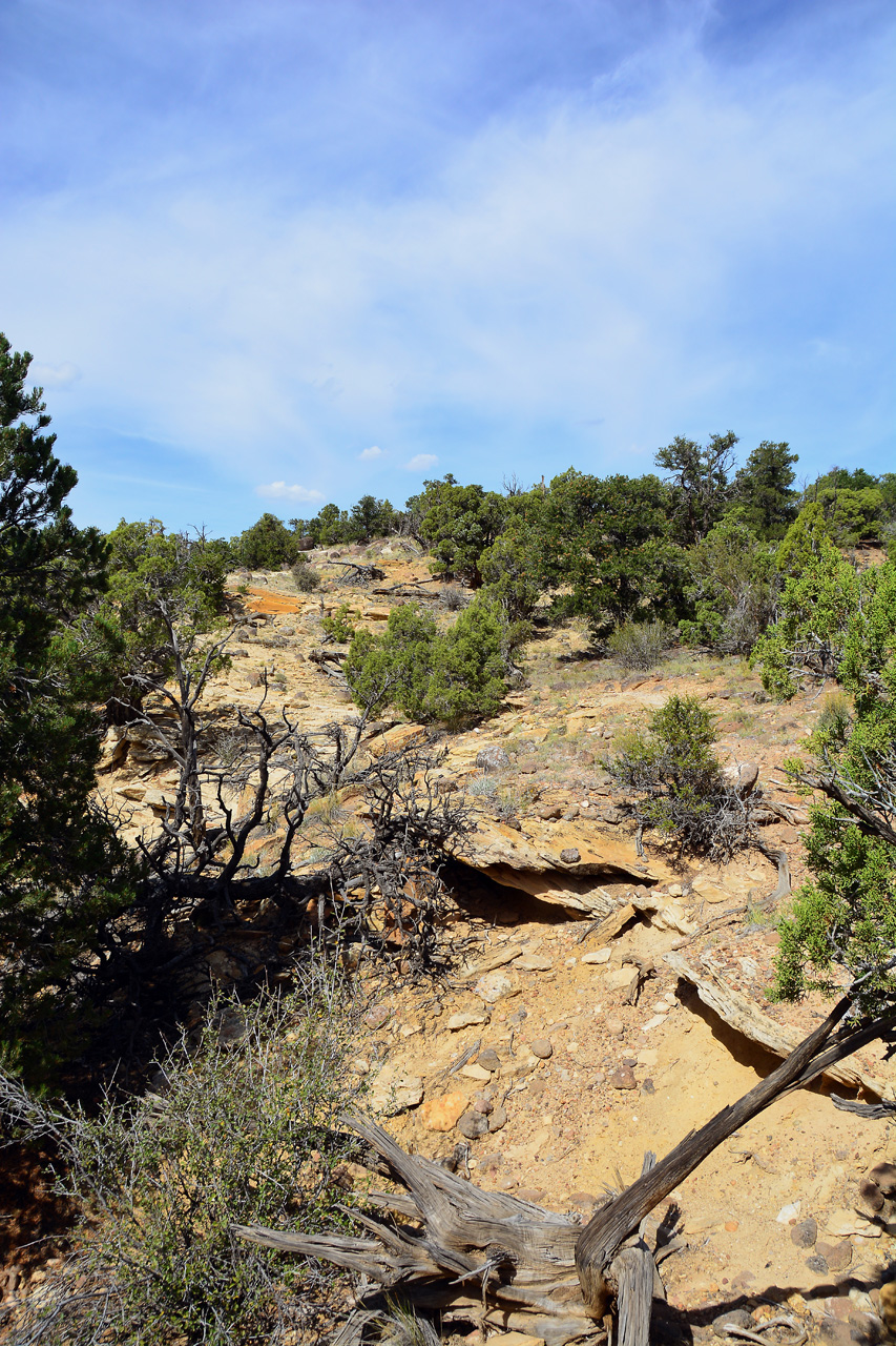 2015-09-30, 059, Escalante SP, UT, Petrified Forest Trail