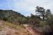 2015-09-30, 003, Escalante SP, UT, Petrified Forest Trail