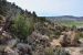 2015-09-30, 005, Escalante SP, UT, Petrified Forest Trail