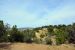 2015-09-30, 010, Escalante SP, UT, Petrified Forest Trail