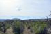 2015-09-30, 011, Escalante SP, UT, Petrified Forest Trail